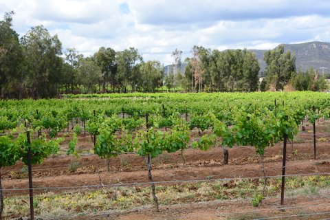Get a TSS visa for a Regional Areas in Western Australia