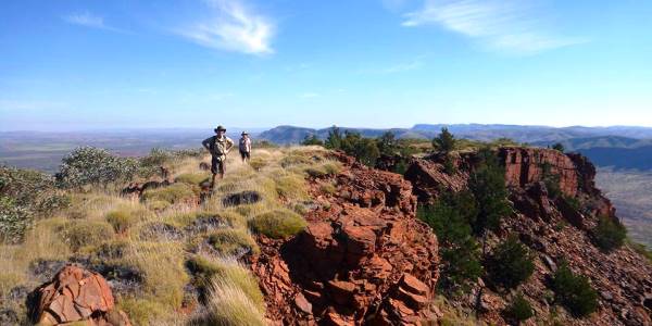 Rural and Farming Jobs in Western Australia