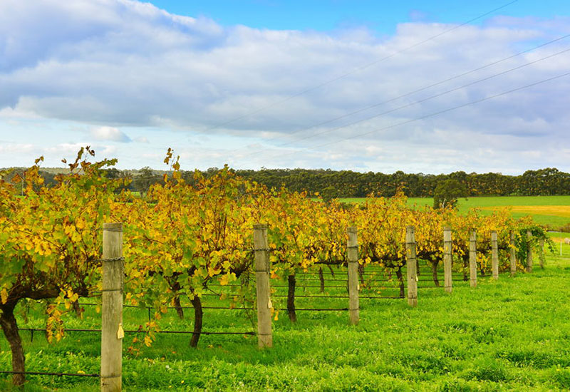 Margaret River, Bunbury and Busselton migration agent