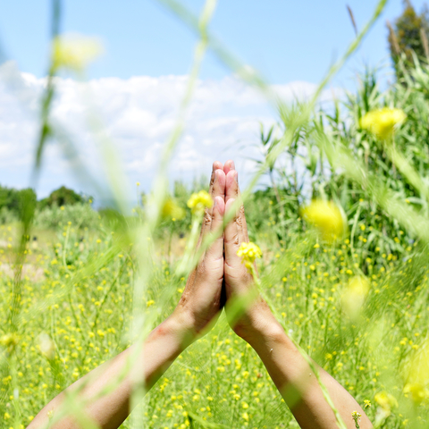 Ten things to do in Mandurah